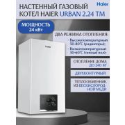 Газовый котел Haier Urban 2.24 TM (GE0Q6NE09RU)